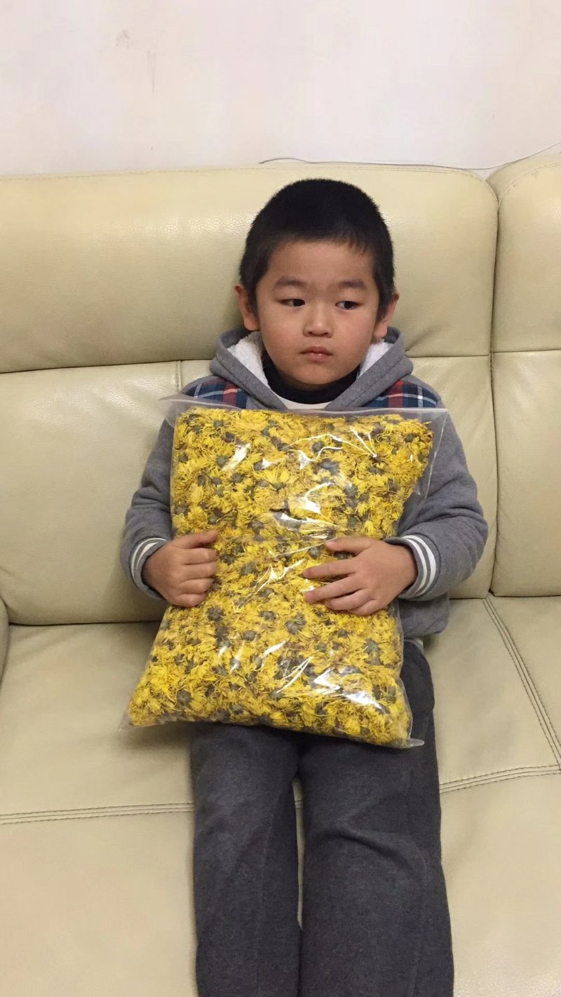 金丝黄菊