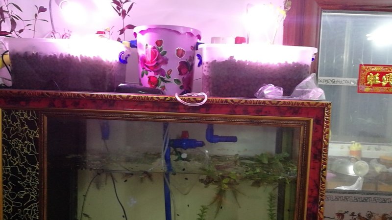 永不换水家庭装设备一套。