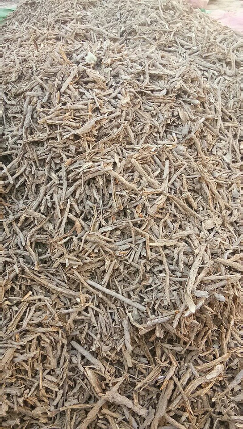 锁阳，构杞，地骨皮大量长年有货