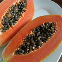 牛奶木瓜，，，，，，，，，，，，，，，，，，，，，