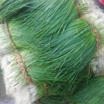 小葱