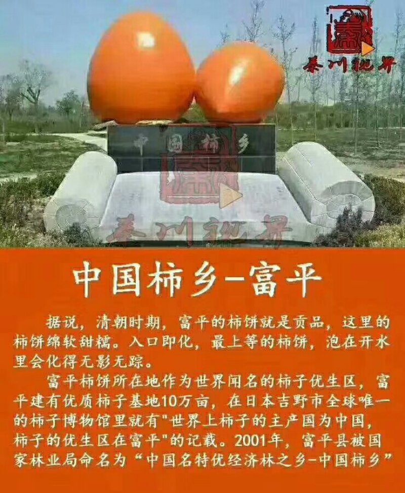 富平柿饼你的首选。