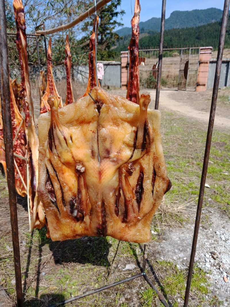 农村自制南乡腊鸭