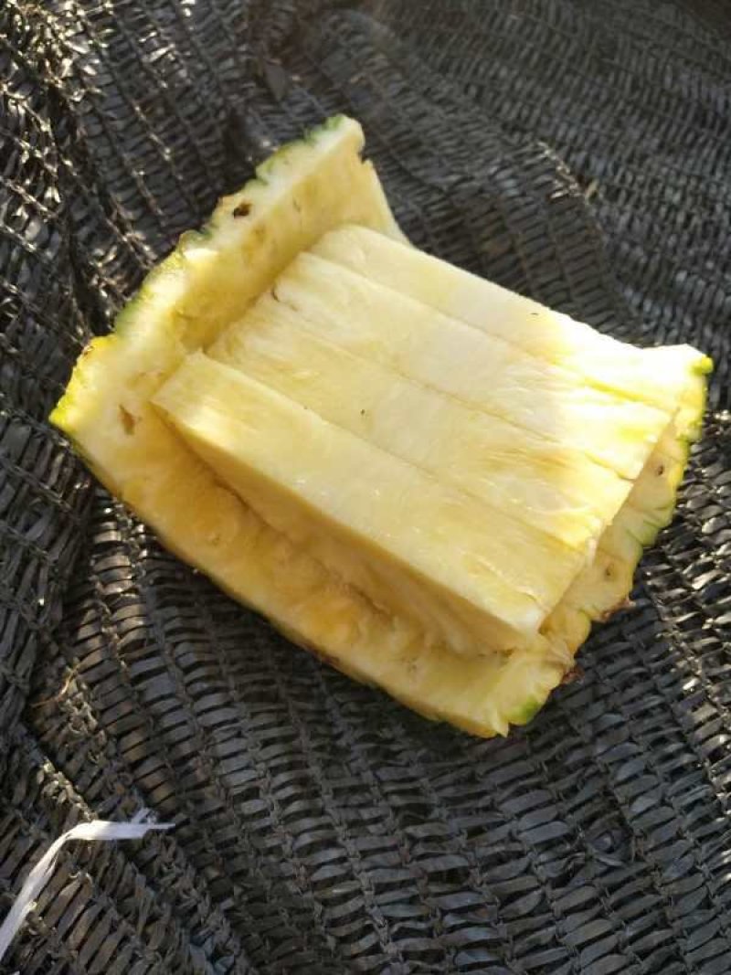 金菠萝