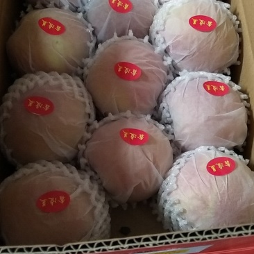阿克苏冰糖心苹果