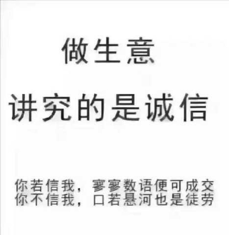 8518核桃树苗山西核桃苗嫁接核桃树苗山西核桃苗