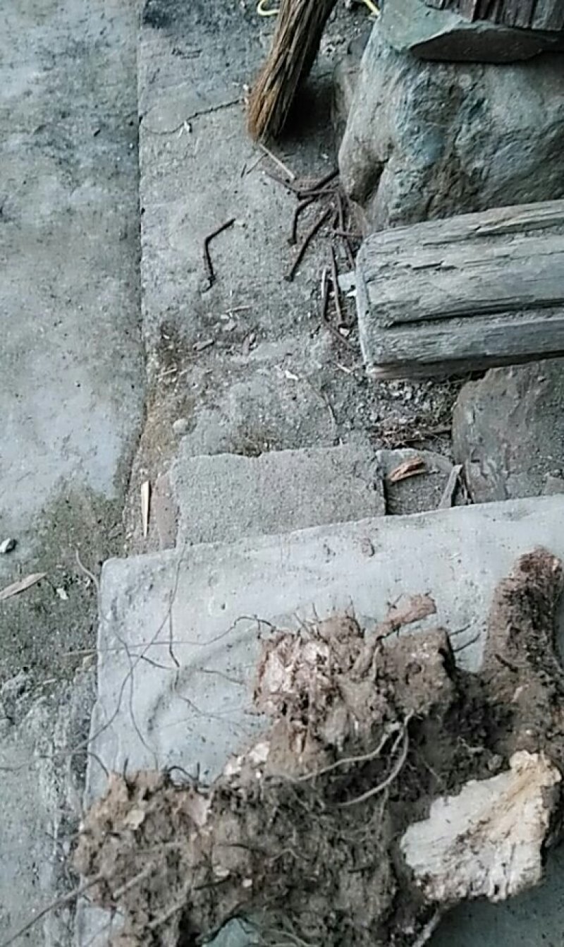 这是什么？有人收购吗