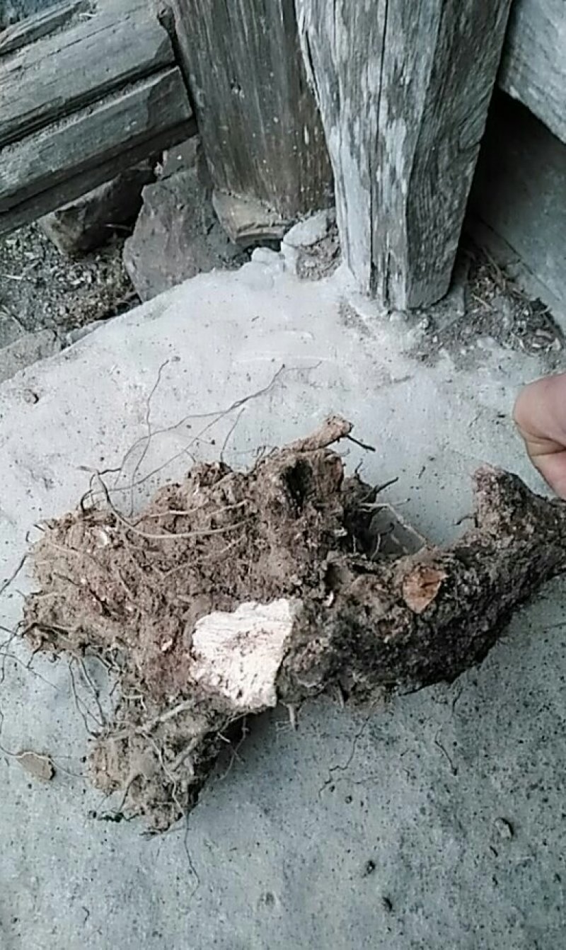 这是什么？有人收购吗