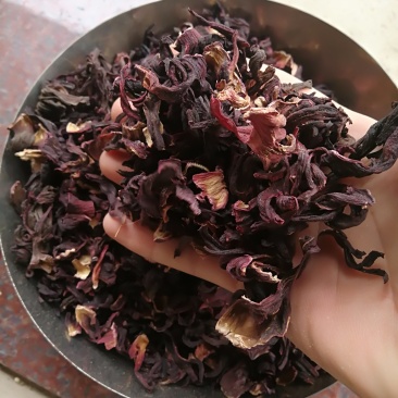 玫瑰茄别名洛神花红桃K可泡酒煲汤