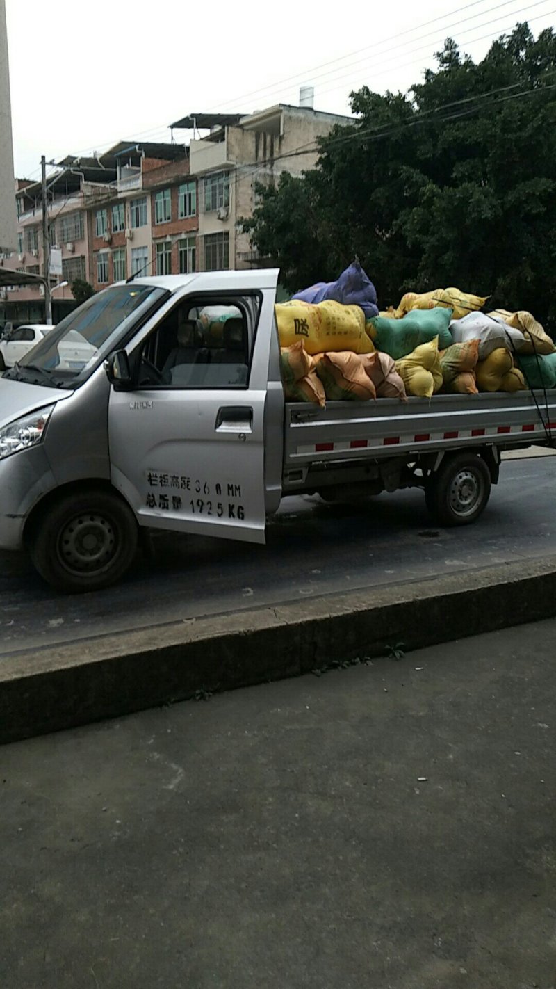 大量出货平和琯溪蜜柚，厦门地区送货上门，山头直接上车。