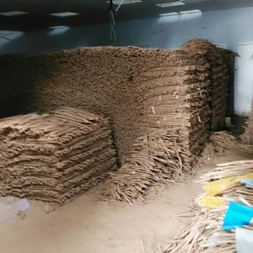 小白嘴