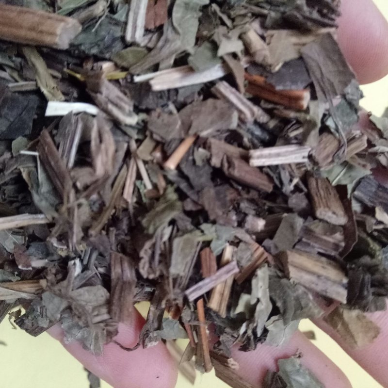 三白草一公斤起卖包邮量大从优