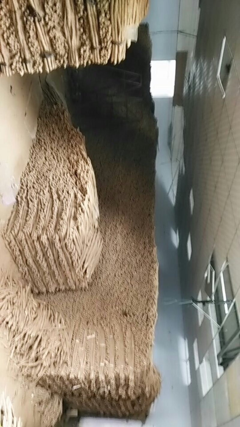 小白嘴