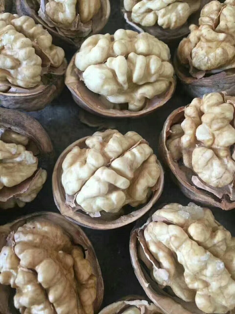 新疆纸皮核桃，口感香，果实饱满