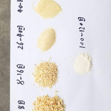 精品蒜粒一手货源厂家直销大量出售需要联系我