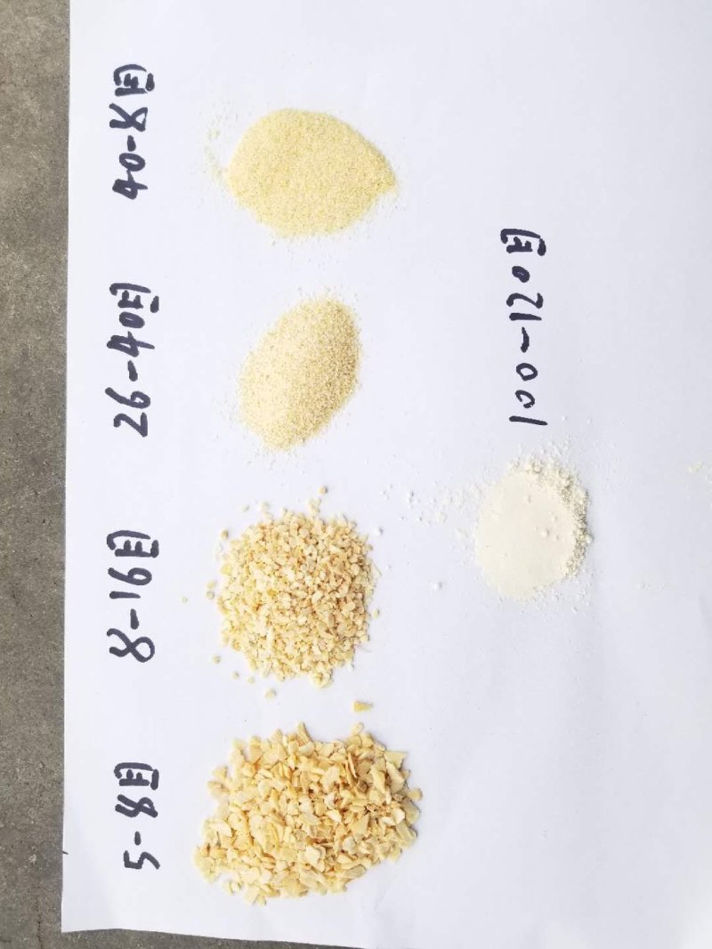 精品蒜粒一手货源厂家直销大量出售需要联系我