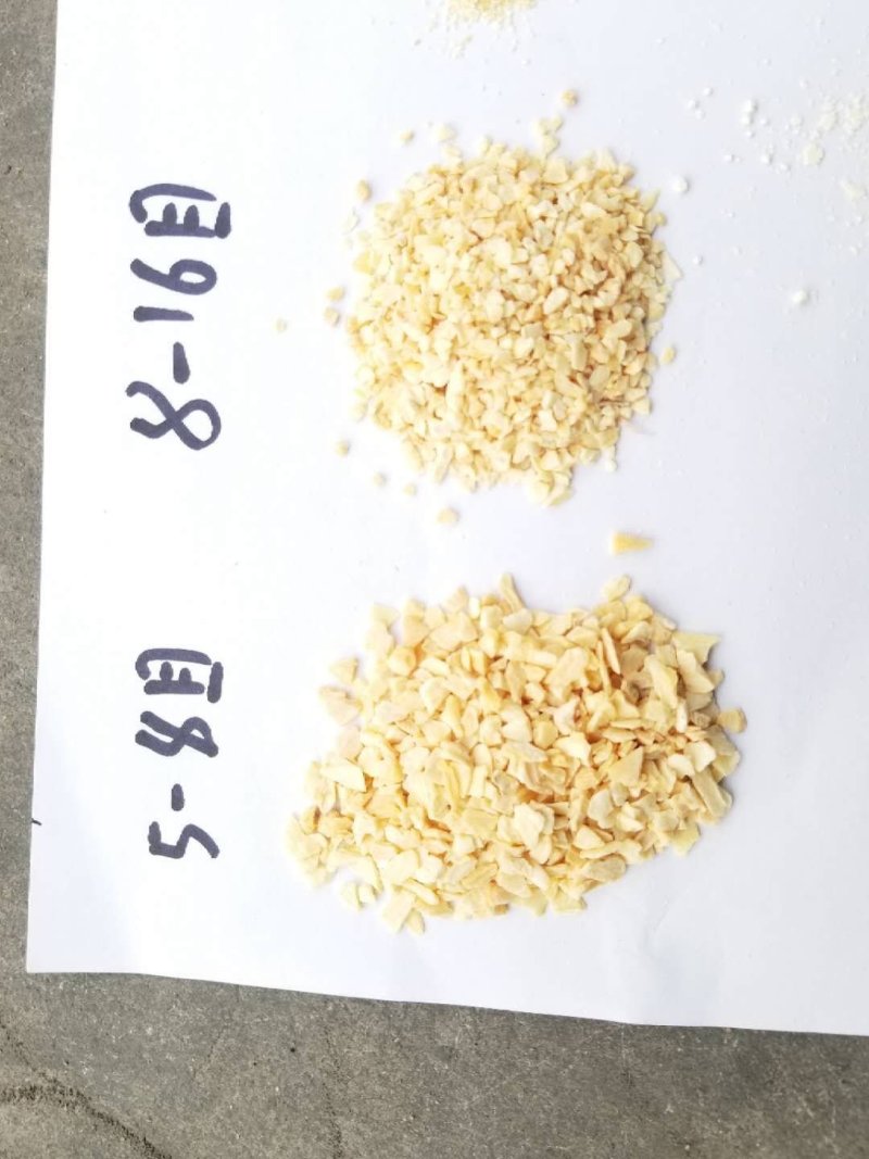 精品蒜粒一手货源厂家直销大量出售需要联系我