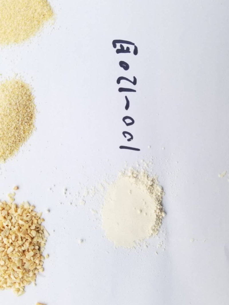 精品蒜粒一手货源厂家直销大量出售需要联系我