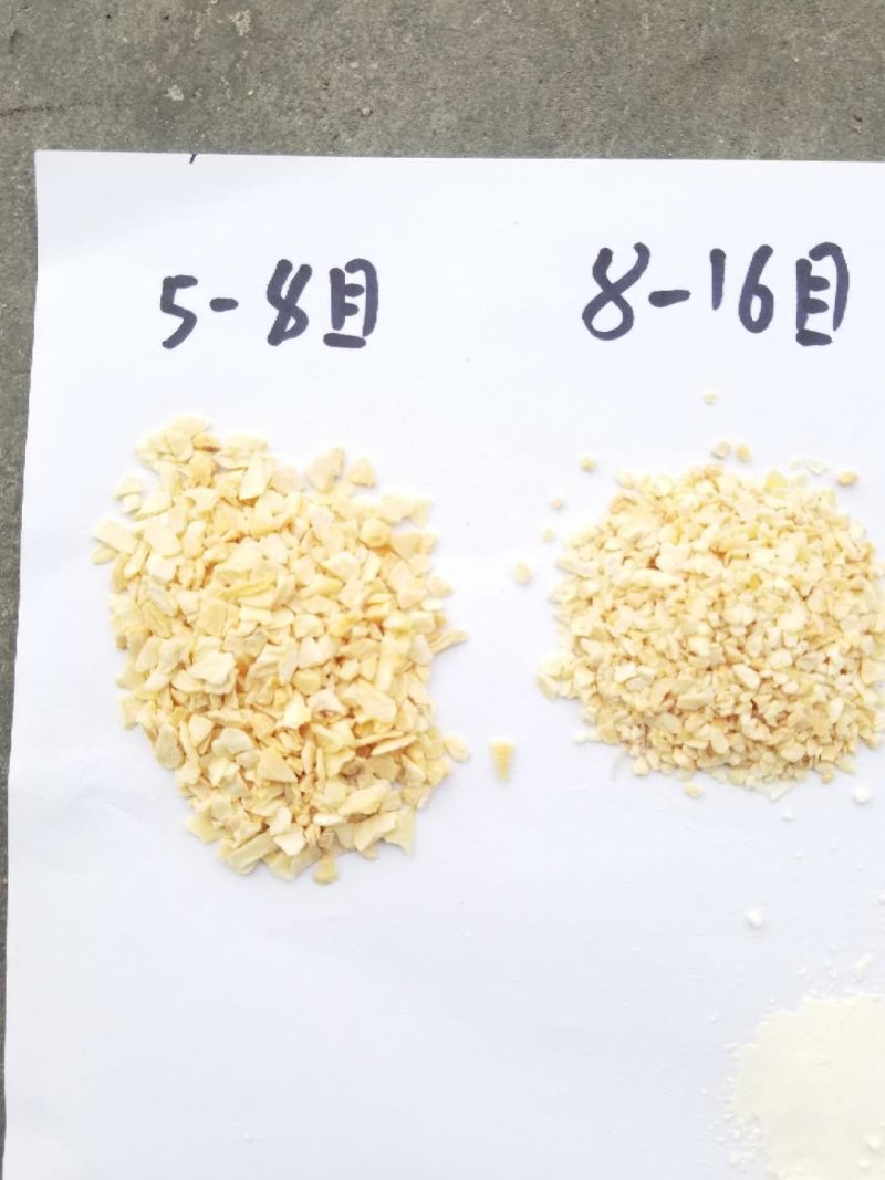 精品蒜粒一手货源厂家直销大量出售需要联系我