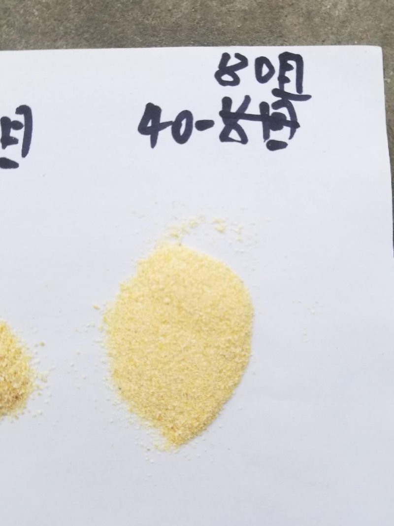 精品蒜粒一手货源厂家直销大量出售需要联系我