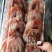 富平柿饼