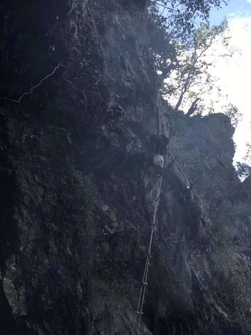 野生悬崖蜜，