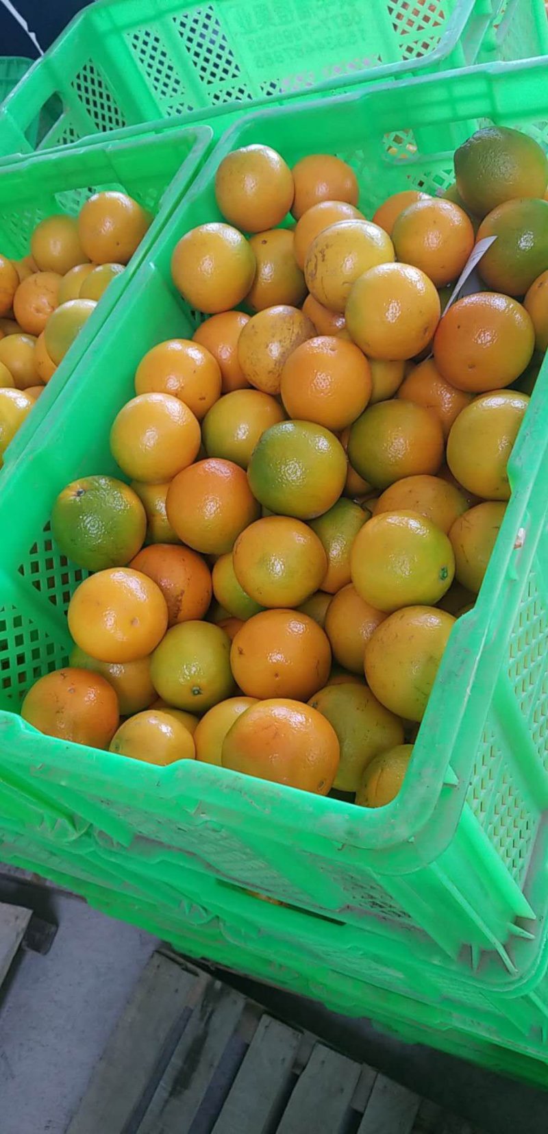 云南褚橙