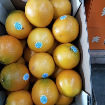 云南褚橙