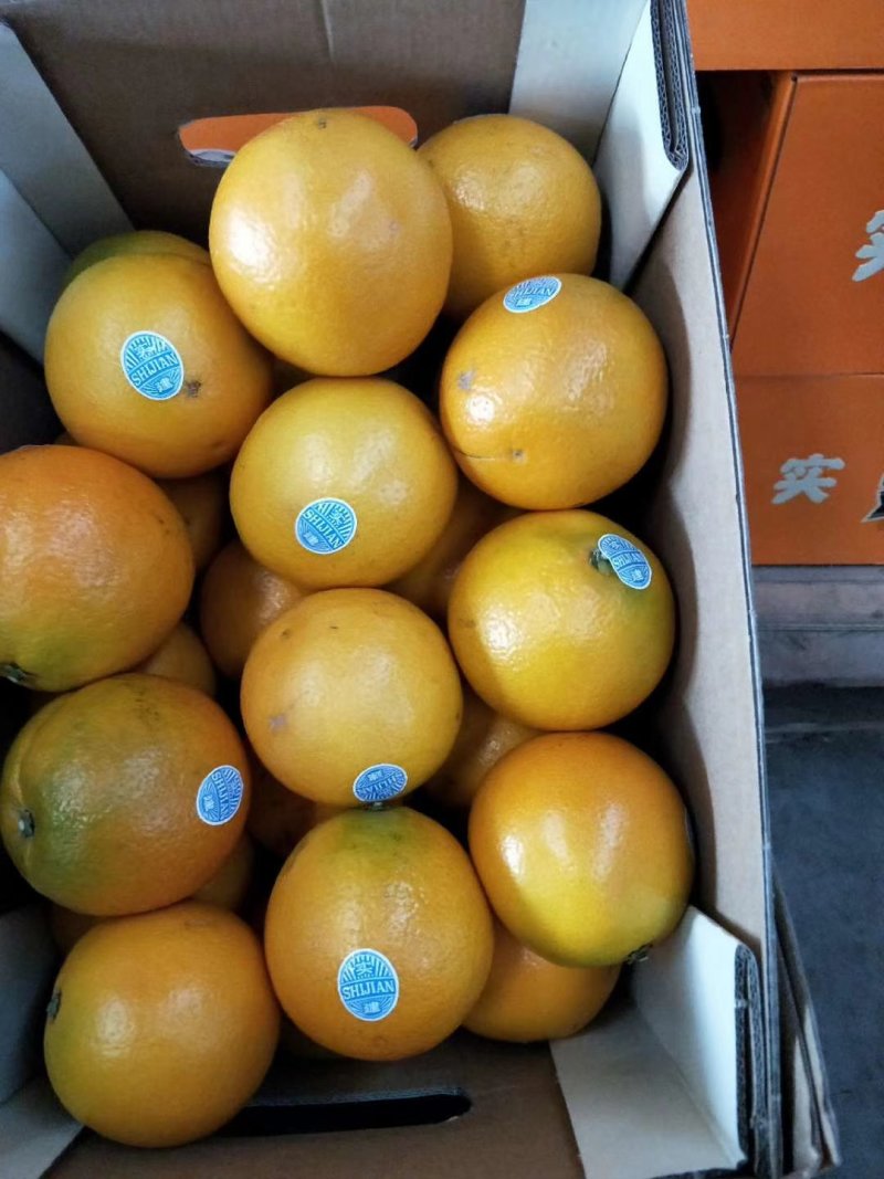 云南褚橙