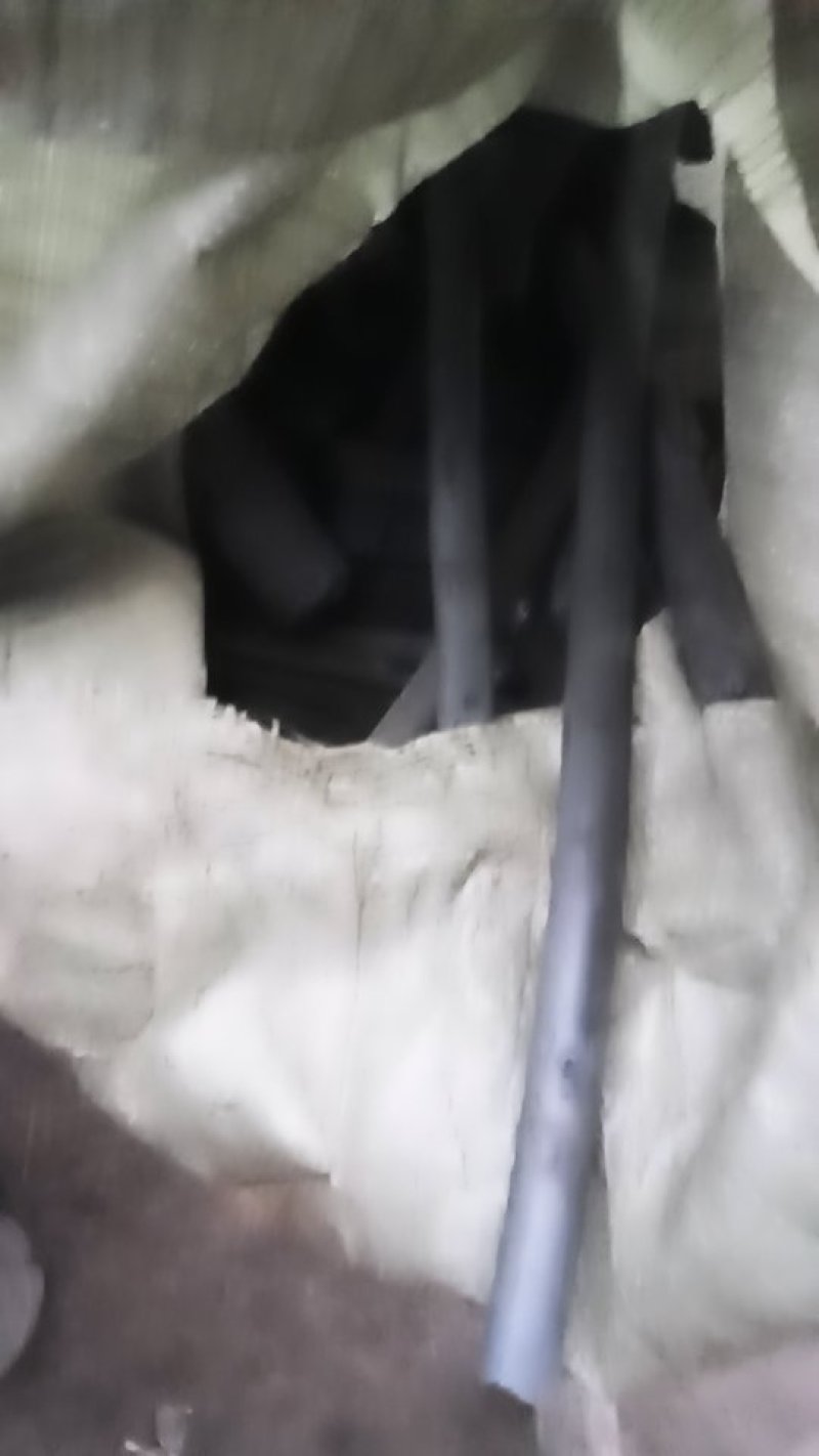 烧烤炭青檀炭量大优惠