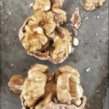核桃
