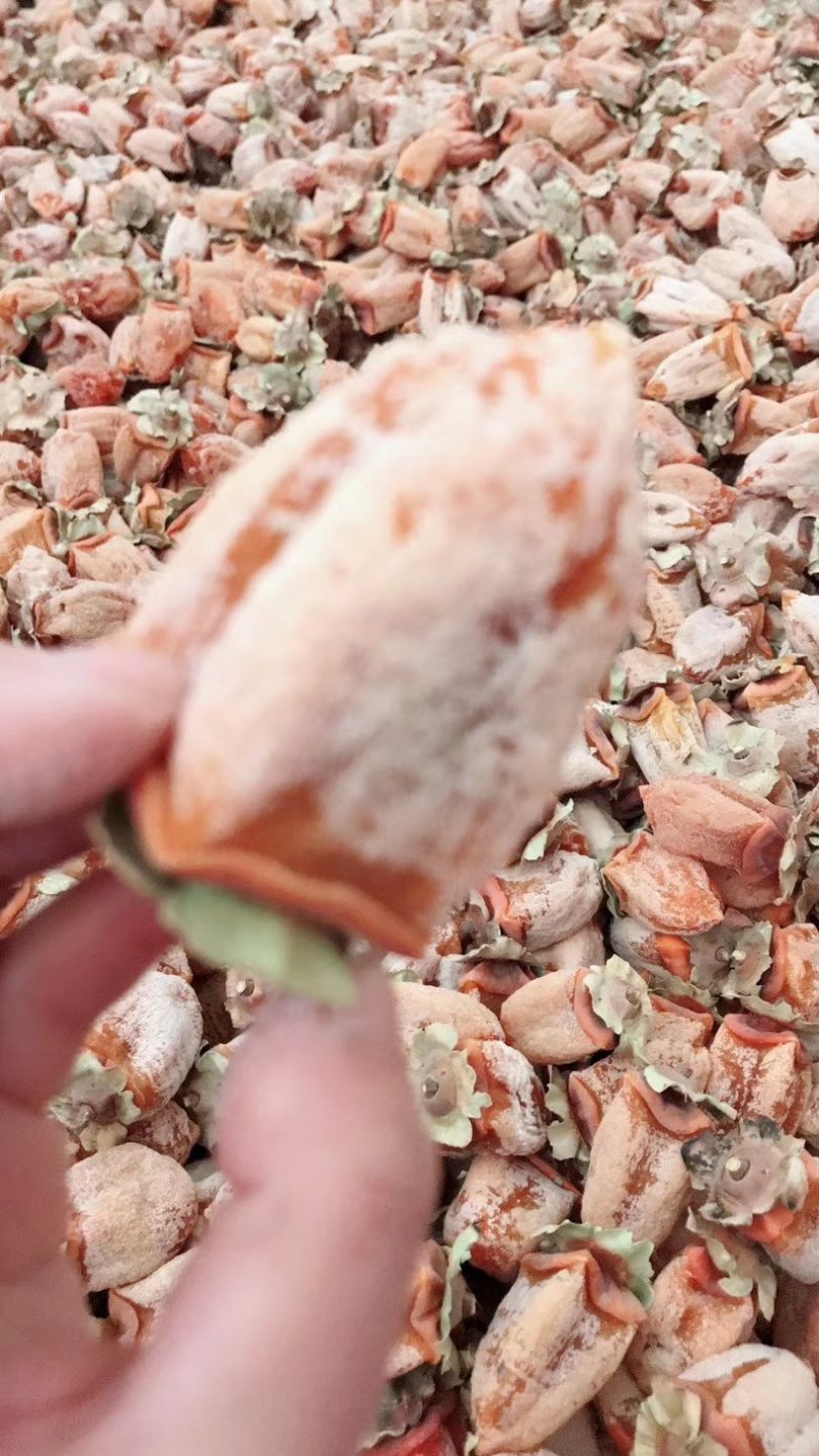 陕西省富平县柿饼吊饼