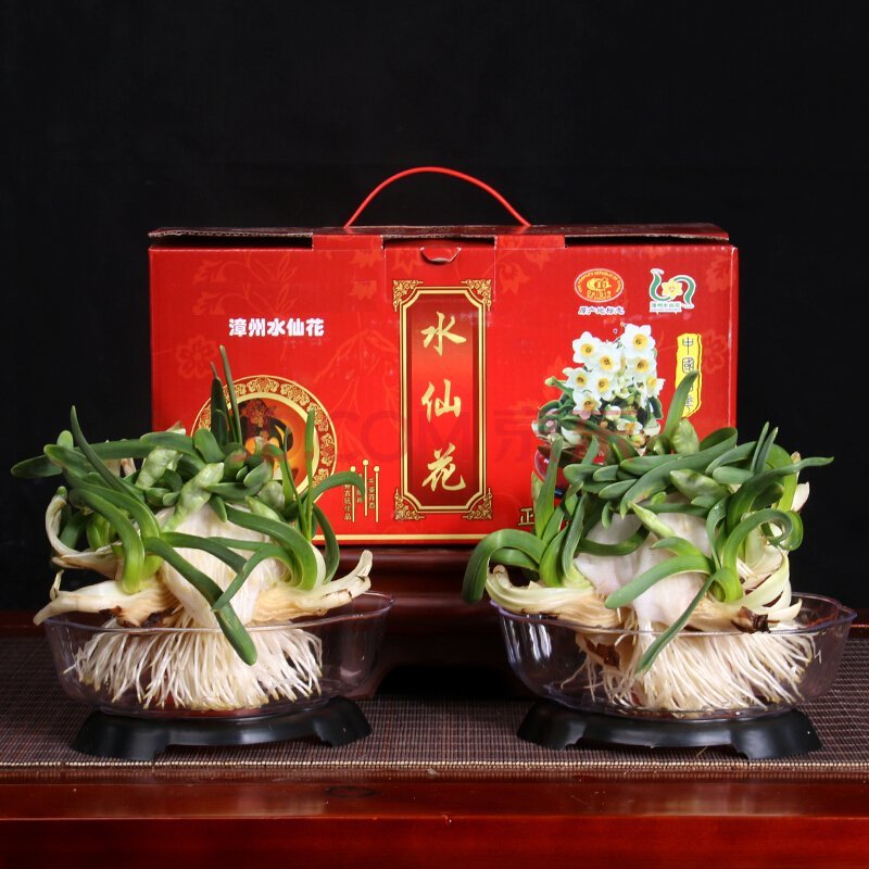雕刻好水仙花