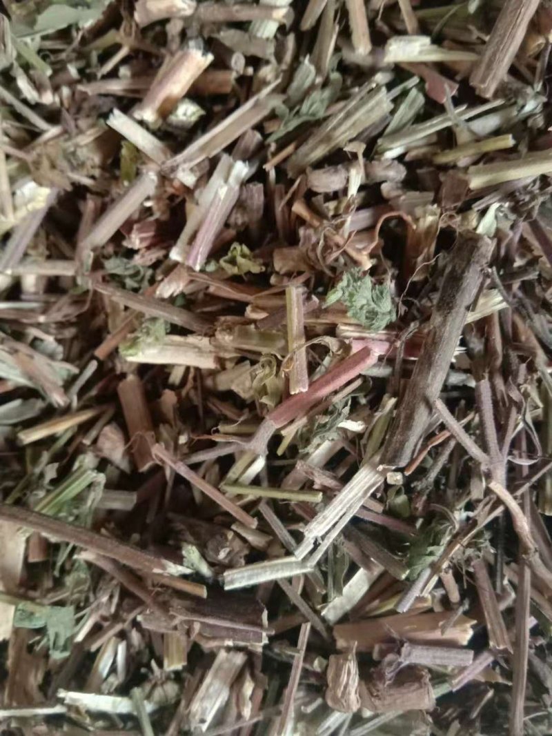 荆芥全草一手货源批发价格便宜