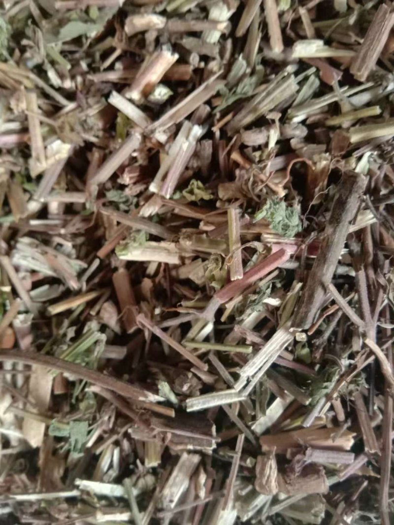 荆芥全草一手货源批发价格便宜