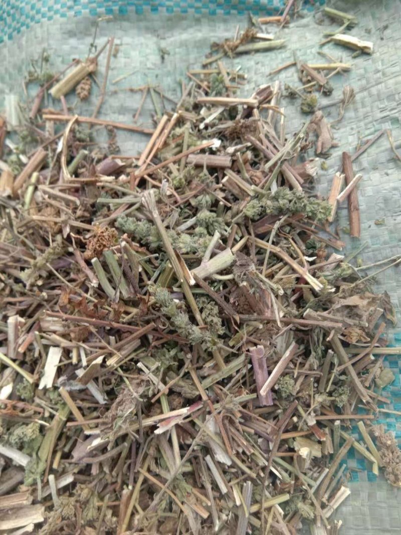 荆芥全草一手货源批发价格便宜