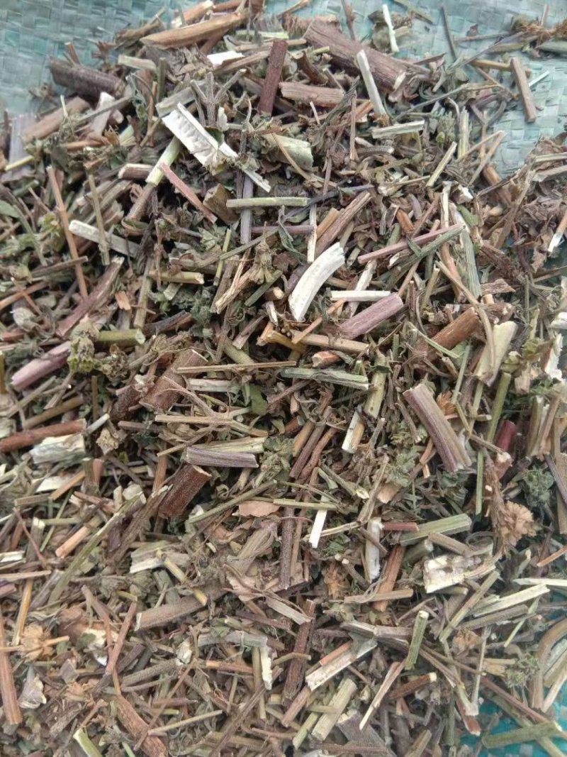 荆芥全草一手货源批发价格便宜