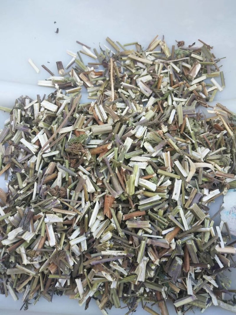 荆芥一手货源批发零售价格便宜