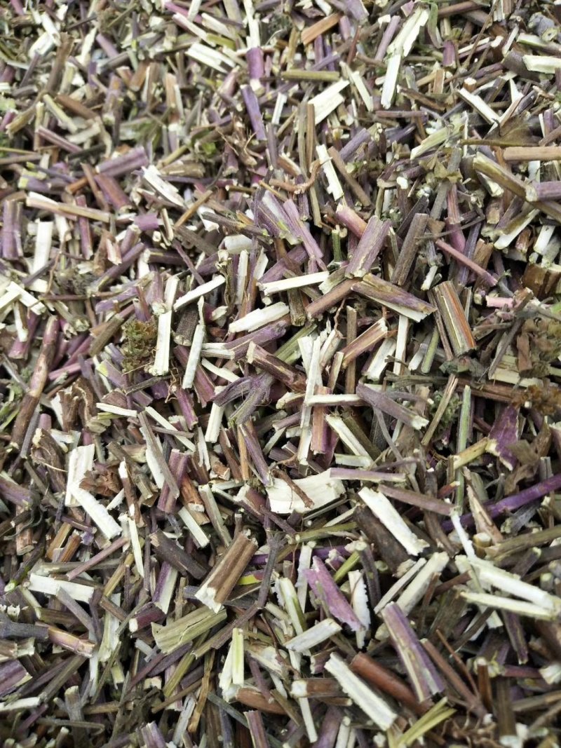 荆芥一手货源批发零售价格便宜