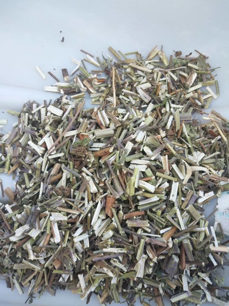 荆芥一手货源批发零售价格便宜