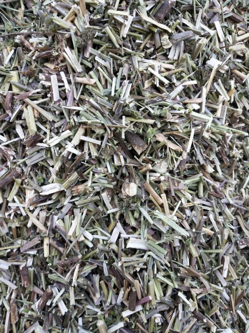 荆芥一手货源批发零售价格便宜