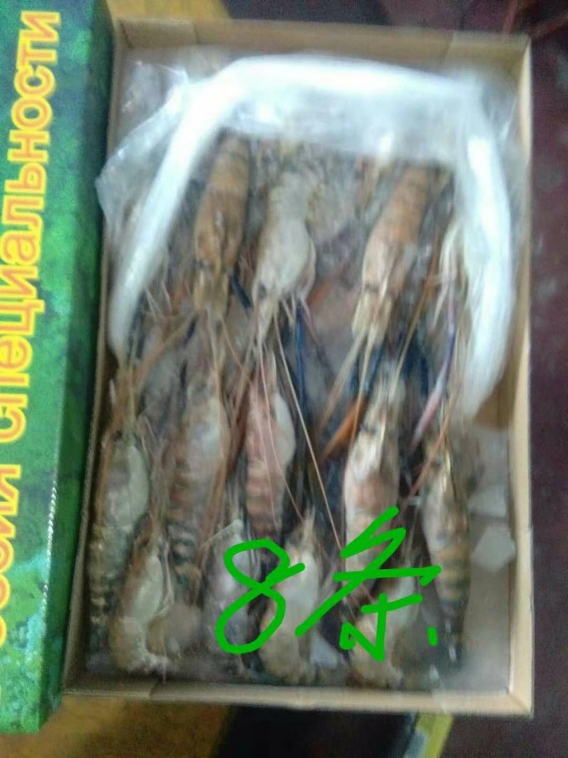罗氏虾冻品，罗氏沼虾长期供应活虾冻品均可供量大从优