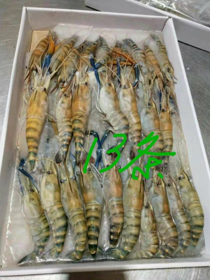 罗氏虾冻品，罗氏沼虾长期供应活虾冻品均可供量大从优
