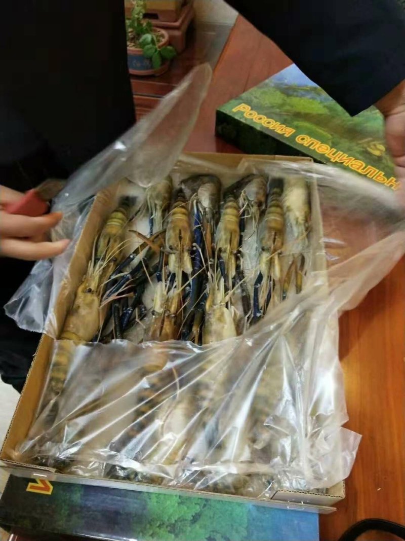 罗氏虾冻品，罗氏沼虾长期供应活虾冻品均可供量大从优