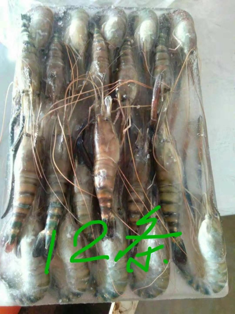 罗氏虾冻品，罗氏沼虾长期供应活虾冻品均可供量大从优