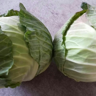 包菜