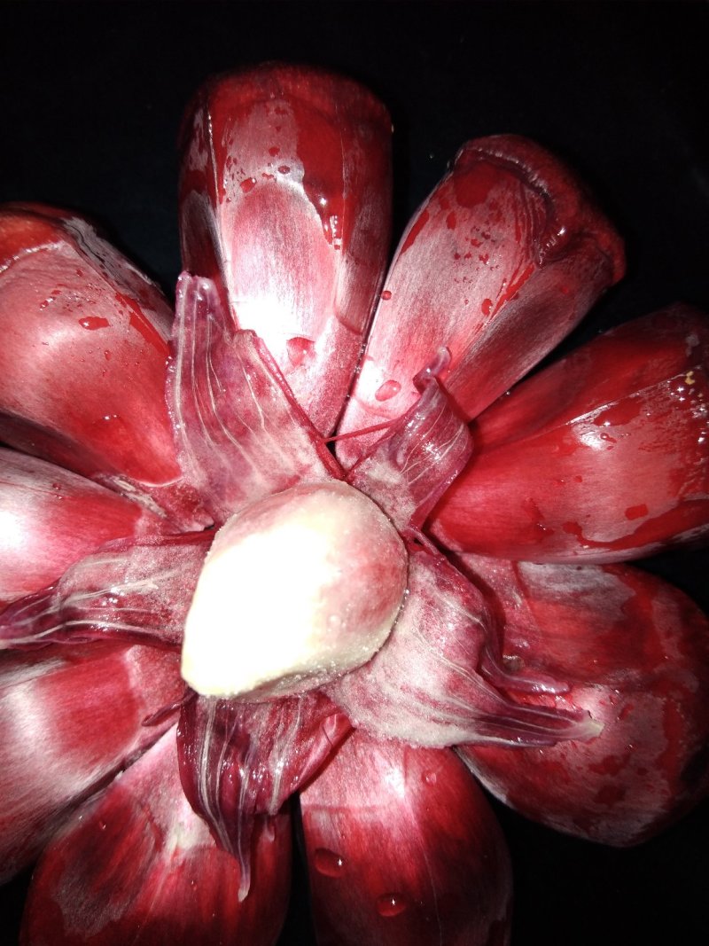 黑老虎果