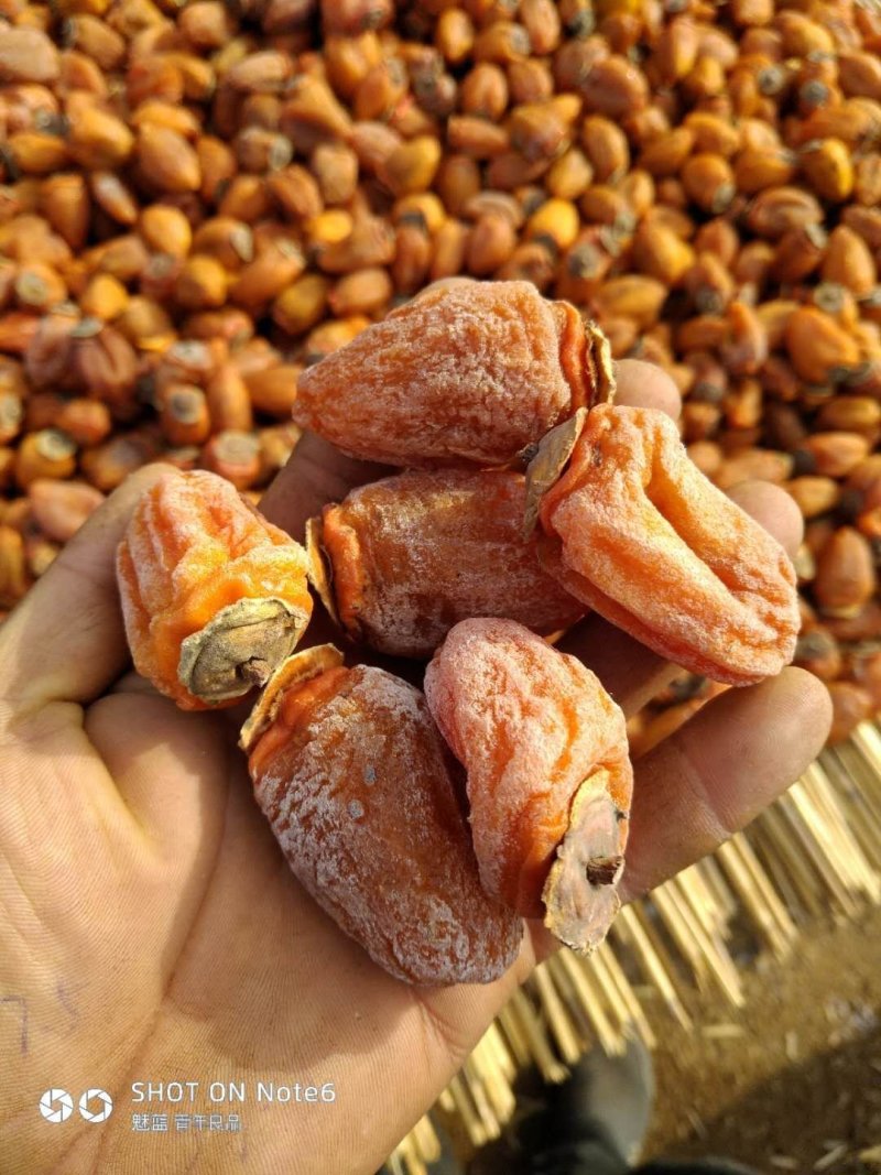 山东临朐吊柿饼，小柿饼，精品小柿饼