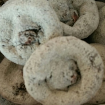 【出售】新鲜大板柿饼，礼品特优级，个大霜厚，软糯香甜，送