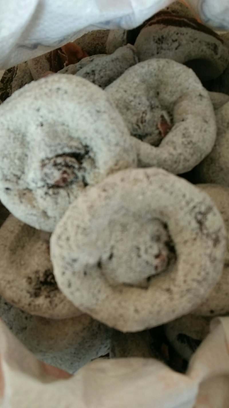 【出售】新鲜大板柿饼，礼品特优级，个大霜厚，软糯香甜，送